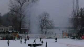 Hooligans Chemie Leipzig Hallescher Fc Platzsturm Durch Hfc HoolS [upl. by Itnahsa]