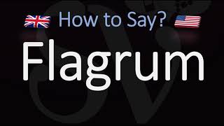 How to Pronounce Flagrum CORRECTLY Meaning amp Pronunciation [upl. by Ellennej884]