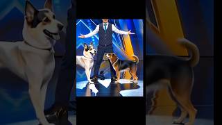 Americas Got Talent Dogs Magic😱😨  Duo SchumacherAGTamericagottalentmagic [upl. by Rodmur]