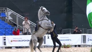 Спасская башня 2015Андалузские лошадиSpanish horseИспания [upl. by Soneson320]