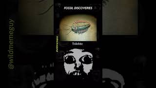 10 Unsolved Mysteries of Prehistoric Fossils [upl. by Hesketh725]