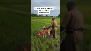 paddy weeder rs 13000 18000 21000 28000 35000 9787672239 melur madurai d TN india 🇮🇳2 [upl. by Asiel386]