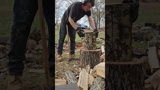 splitting firewood Collins axe hookaroon [upl. by Cottle]