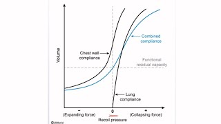 USMLE STEP 1 Questions Lung Compliance Curves [upl. by Ahcmis]