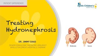 Treating Hydronephrosis at Apollo Children’s Hospitals Chennai [upl. by Alhsa]