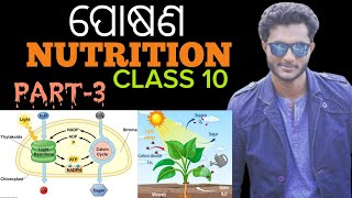 Nutritionପୋଷଣ 10th class life science chapter1 in odia  ଆଲୋକଶ୍ଳେଷଣPHOTOSYNTHESIS full concept [upl. by Tut]