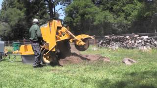 2000 Vermeer SC752 stump grinding how to grind a stump [upl. by Ahsikym]