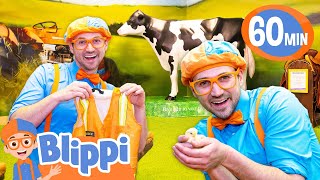 Blippis Occupation Exploration  Blippi  Educational Videos for Kids [upl. by Attevroc]