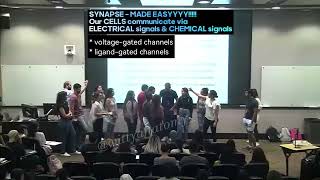 Synapse quotHuman Magnifiedquot Sooo Easyyyy Voltage and Ligandgated channels explained [upl. by Imhskal]