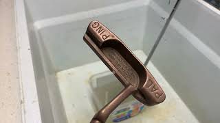 Ping Putter 6 Day Vinegar Soak Restoration golf putter pinggolf ping golfclub [upl. by Reizarf798]