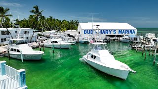 Blue Marlin Encounter  Blackfin Tuna  Hundreds of Mahi [upl. by Ear]