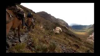 Reportaje al Perú Gran Pajatén el tesoro de los chachapoyas  cap 2 [upl. by Etnaled45]