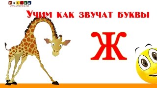 Алфавит русский Учим Буквы и Звуки с Кругляшиком  Буква Ж [upl. by Idette305]