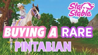 BUYING A RARE PINTABIAN BRAND NEW HORSE  Star Stable Online [upl. by Ahtera]