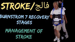 7 Stages of Burnstrome post Stroke  Easiet way to undestand STROKE  Hindi [upl. by Forland15]