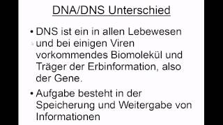 DNA  DNS Unterschied [upl. by Acissev]