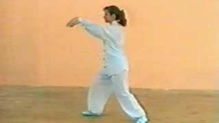 Simplified Taijiquan Form 24 [upl. by Hillery]