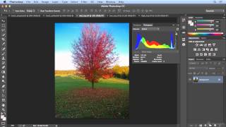 Reading a histogram and using the info panel in Photoshop CC [upl. by Jimmy807]