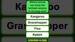 Think You Know Animals 🐍 Take the Ultimate Fact Quiz [upl. by Naresh]