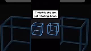 This cubes are not moving At all edit [upl. by Cosma]