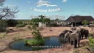 Imagine Africa Luxury Tented Camp Promotional Deal for 2023  Greater Kruger [upl. by Landau]