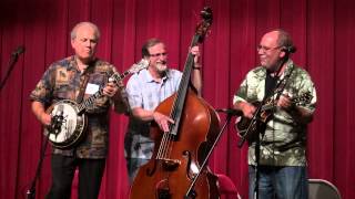 Pete Wernick  Haystack Rock  Midwest Banjo Camp 2014 [upl. by Clio]