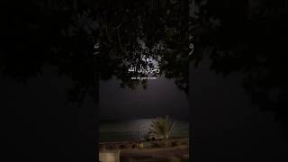 دقيقة من وقتك لاتقطع القرآن🥀 [upl. by Yeldahc]