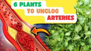 AVOID a INFARCT The 6 PLANTS that CLEAN BLOCKED VEINS and ARTERIES  Lower CHOLESTEROL [upl. by Ahsinauq899]