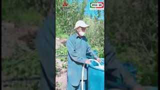 Shimla Apple Farmer Reviews on Humetsu and Kaguya Spray On Apple CropIFFCOMC [upl. by Xer]