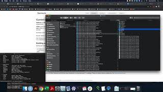 Samtools Mpileup Tutorial [upl. by Katonah]