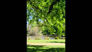 Botanical Gardens Playspace relax [upl. by Somerset]