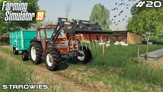 Building sheep pasture amp selling silage  Starowies  Farming Simulator 2019  Episode 20 [upl. by Castara]