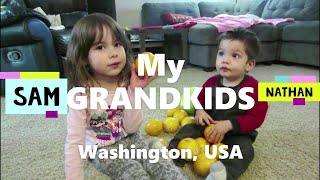 My GRANDKIDS Sam and Nathan  Washington USA [upl. by Georgiana]