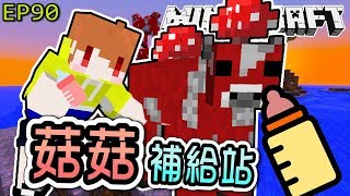 【Minecraft】茶杯原味生存Ep90 無限續杯🍶菇菇補給站🐮【當個創世神麥塊】 [upl. by Llahsram108]