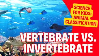 The Animal Kingdom Classification of Vertebrates amp Invertebrates  Kids Science Lesson [upl. by Agnot]