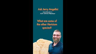 What are the other Hericium species [upl. by Cheney868]