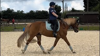 Novice 27 Dressage Test [upl. by Laurice]