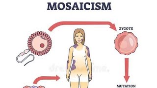 Understanding Chimerism  Chimeric genes  Chimeragenesis  Mosaisicm [upl. by Droflim]