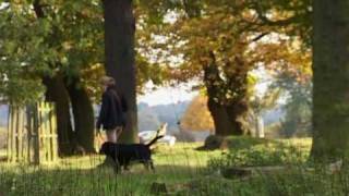 Richmond Deer Park  London UK [upl. by Duong]