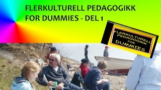 Flerkulturell Pedagogikk for Dummies Del 1 [upl. by Tome]