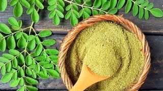 Moringa Plante miracle  Vertus nutrionnelles amp Bienfaits Santé [upl. by Raclima86]