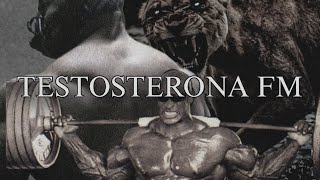 TESTOSTERONA AUDITIVA  PHONK SLOWED  REVERB MOTIVACIÓN ESPAÑOL [upl. by Dehnel752]