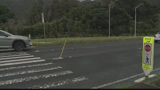 Markers aim to protect pedestrians on busy highway but are they working [upl. by Weasner]