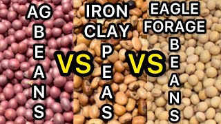 SOYBEANS VS PEAS VS EAGLE FORAGE BEANS foodplots beans peas deer hunting deerhunting plots [upl. by Brozak376]