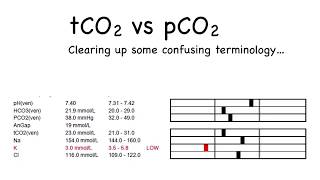 tCO2 vs pCO2 Clearing up confusing terminology [upl. by Moreville353]