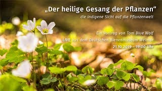 Der heilige Gesang der Pflanzen [upl. by Torrance]