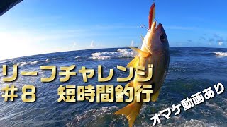 リーフチャレンジ＃８ 短時間釣行（オマケ動画あり）【沖縄ルアーフィッシング】沖縄ルアー釣り 沖縄釣り ルアーフィッシング fishing lurefishing [upl. by Brieta38]