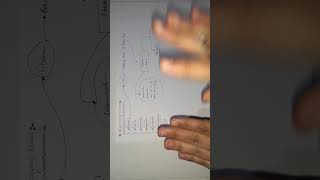 Benign Mesenchymal Tumors  Fibroma and Lipoma [upl. by Releehw654]