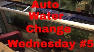 Auto Water Change Wednesday 5Using Drip irrigation emitters to change water [upl. by Alle438]