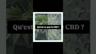 Le CBD questce que cest vraiment  Lis la description⤵️ Abonne toi pr ne rien louper cbdforlife [upl. by Aiam]